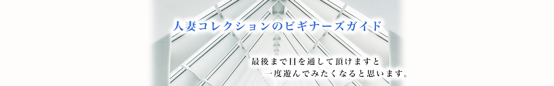 人妻コレクションのビギナーズガイド